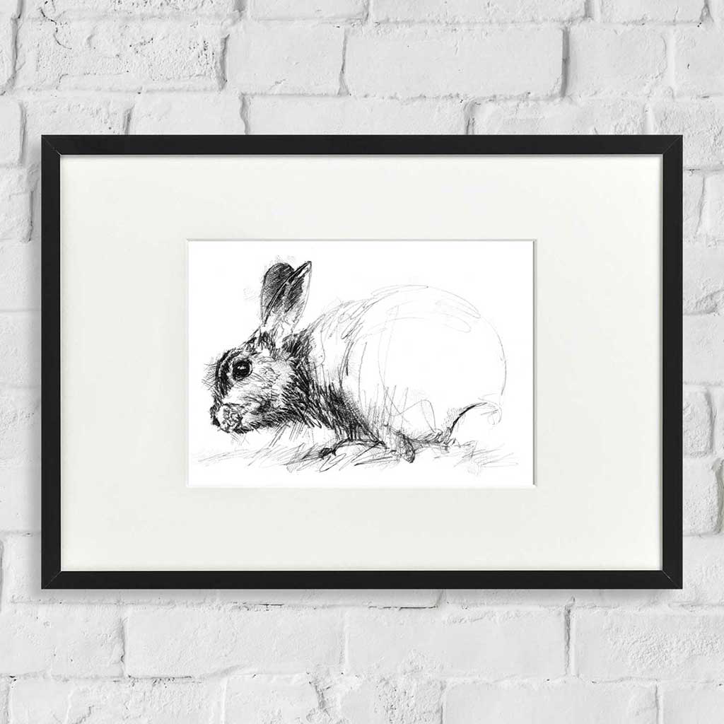 Wild rabbit