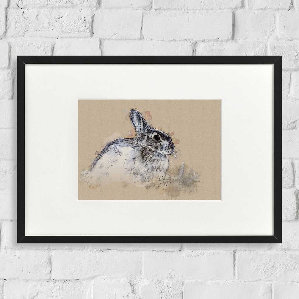 Rabbit