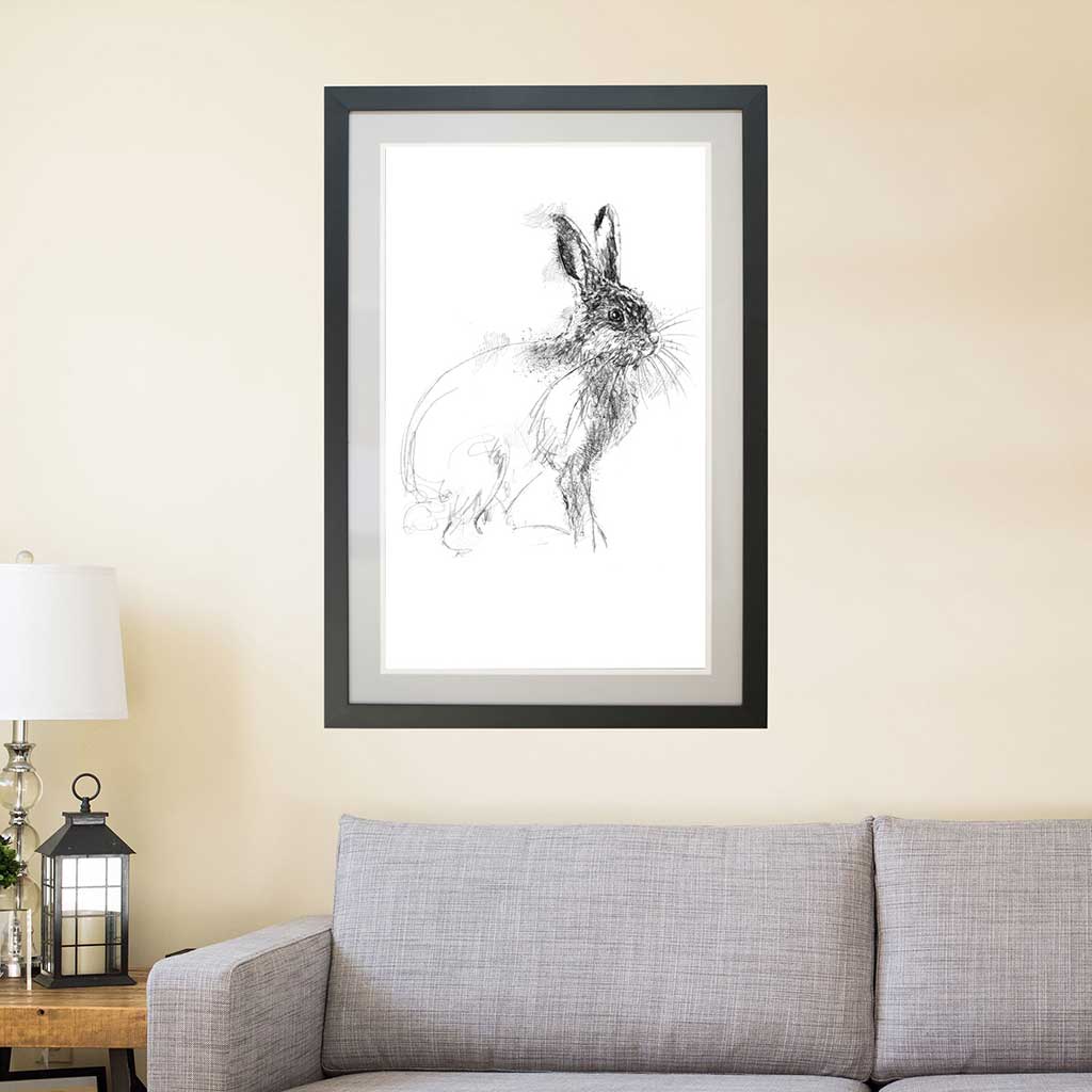 Young rabbit