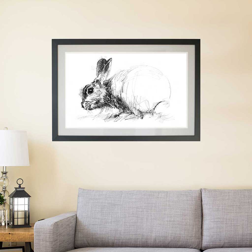 Wild rabbit