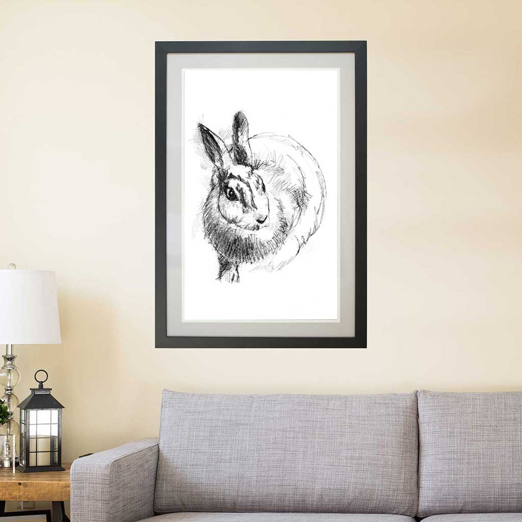 Wild rabbit