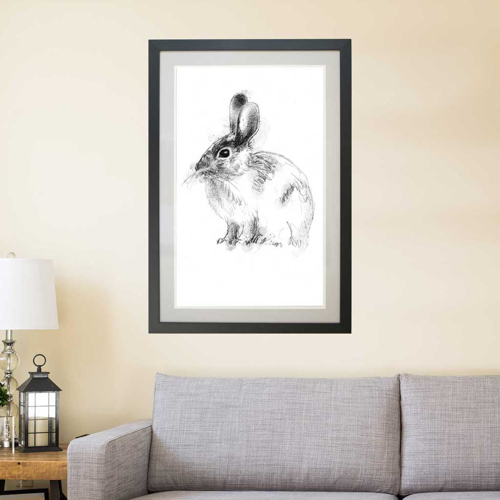 Wild rabbit