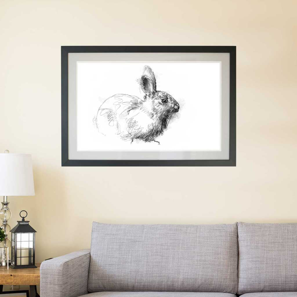 Wild rabbit