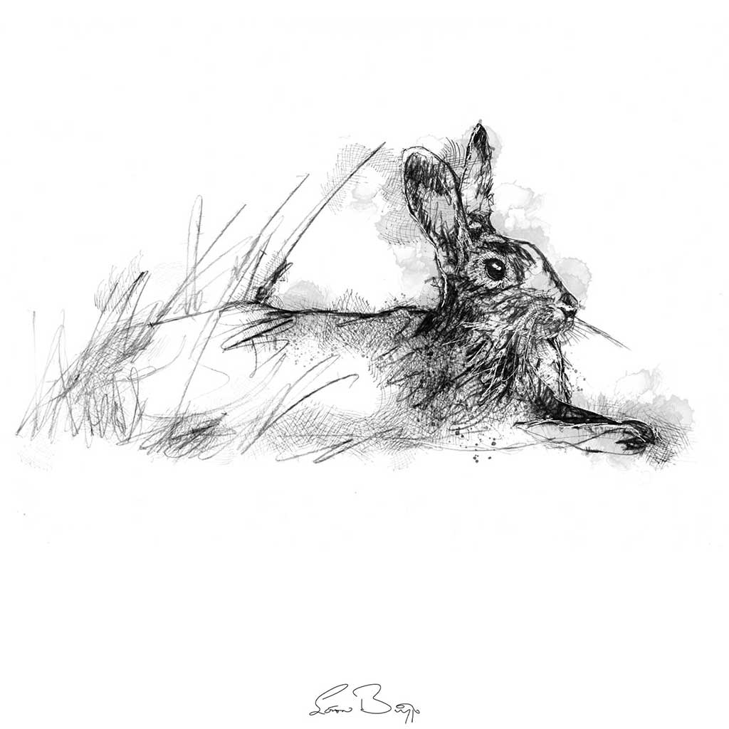 Rabbit relaxing
