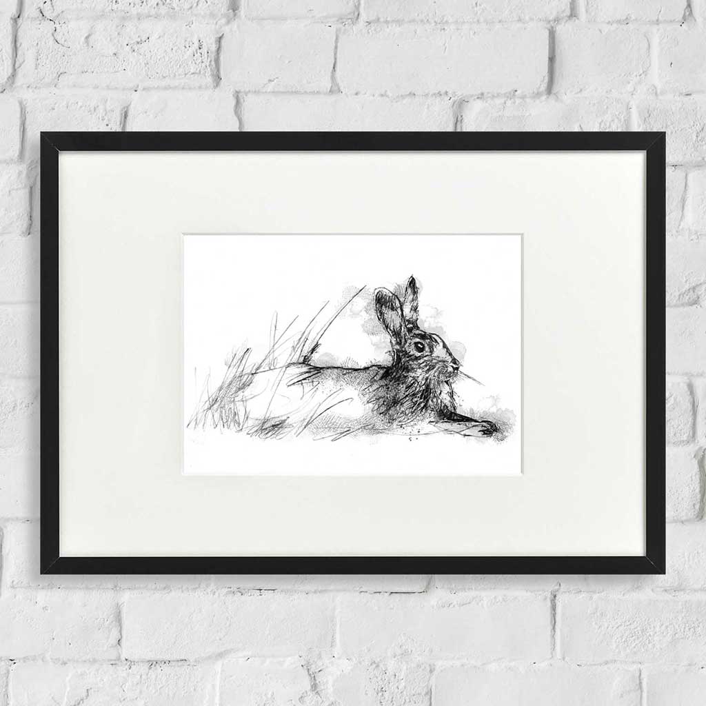 Rabbit relaxing