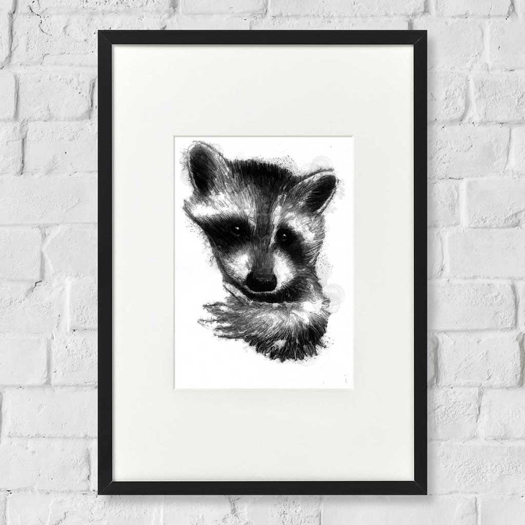 Racoon