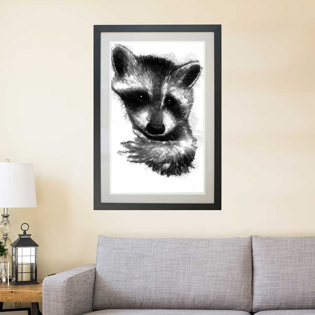 Racoon