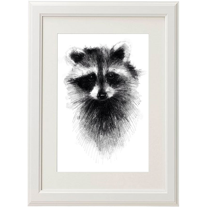 Raccoon