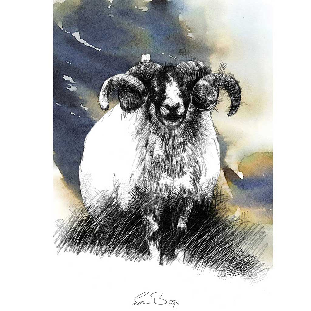Speckled faced ram