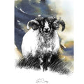 Speckled faced ram