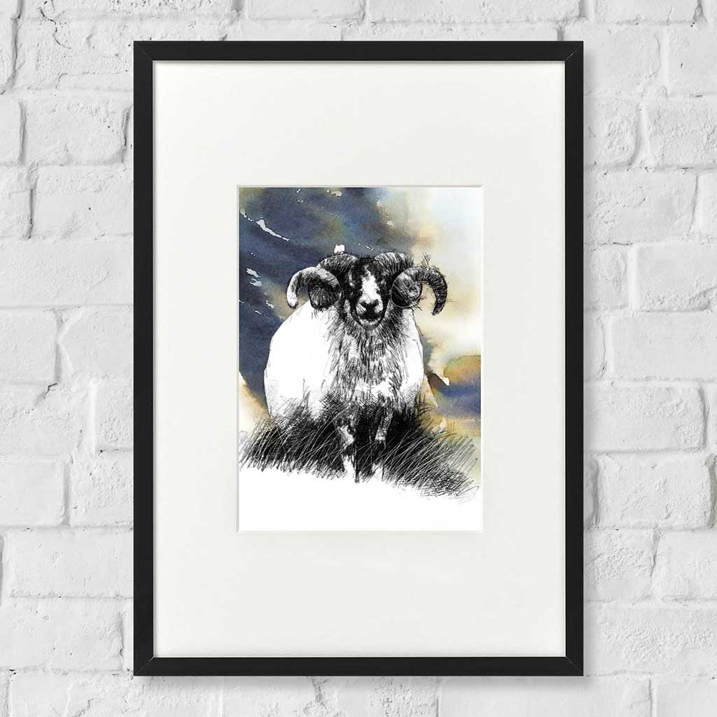 Speckled faced ram