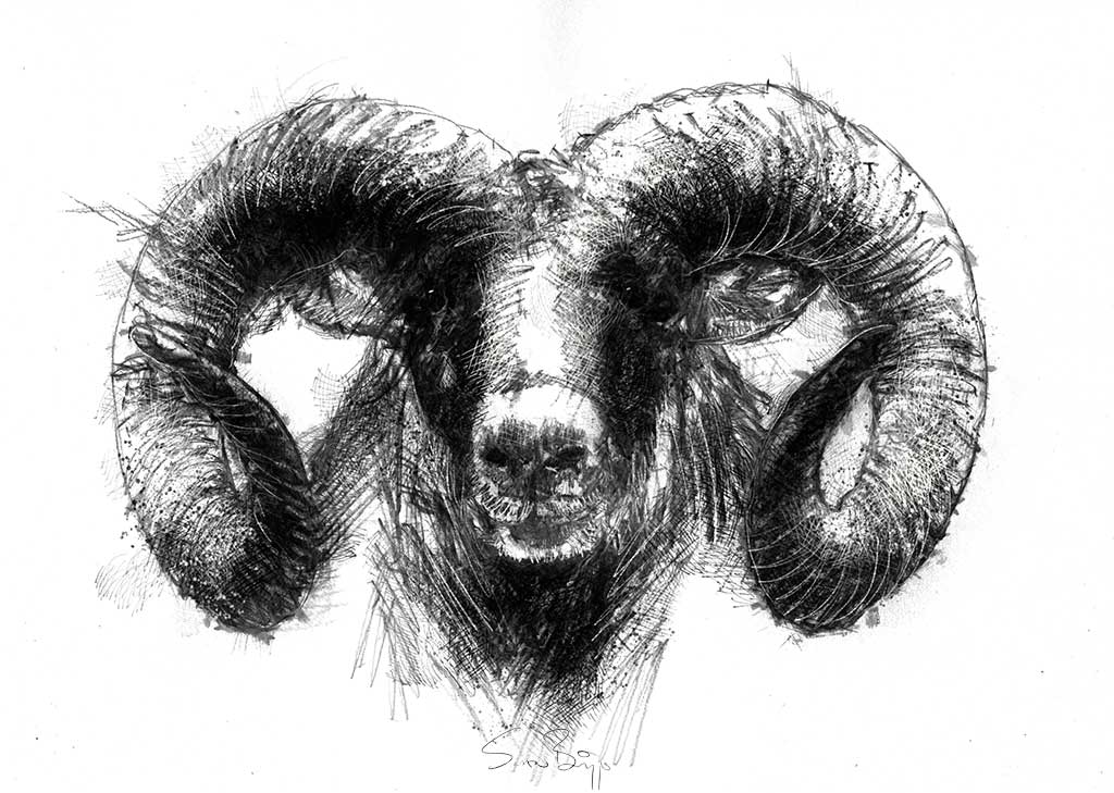 Ram