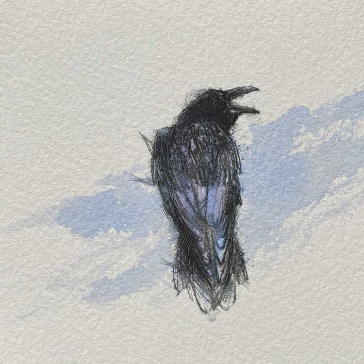 Raven call mini sketch