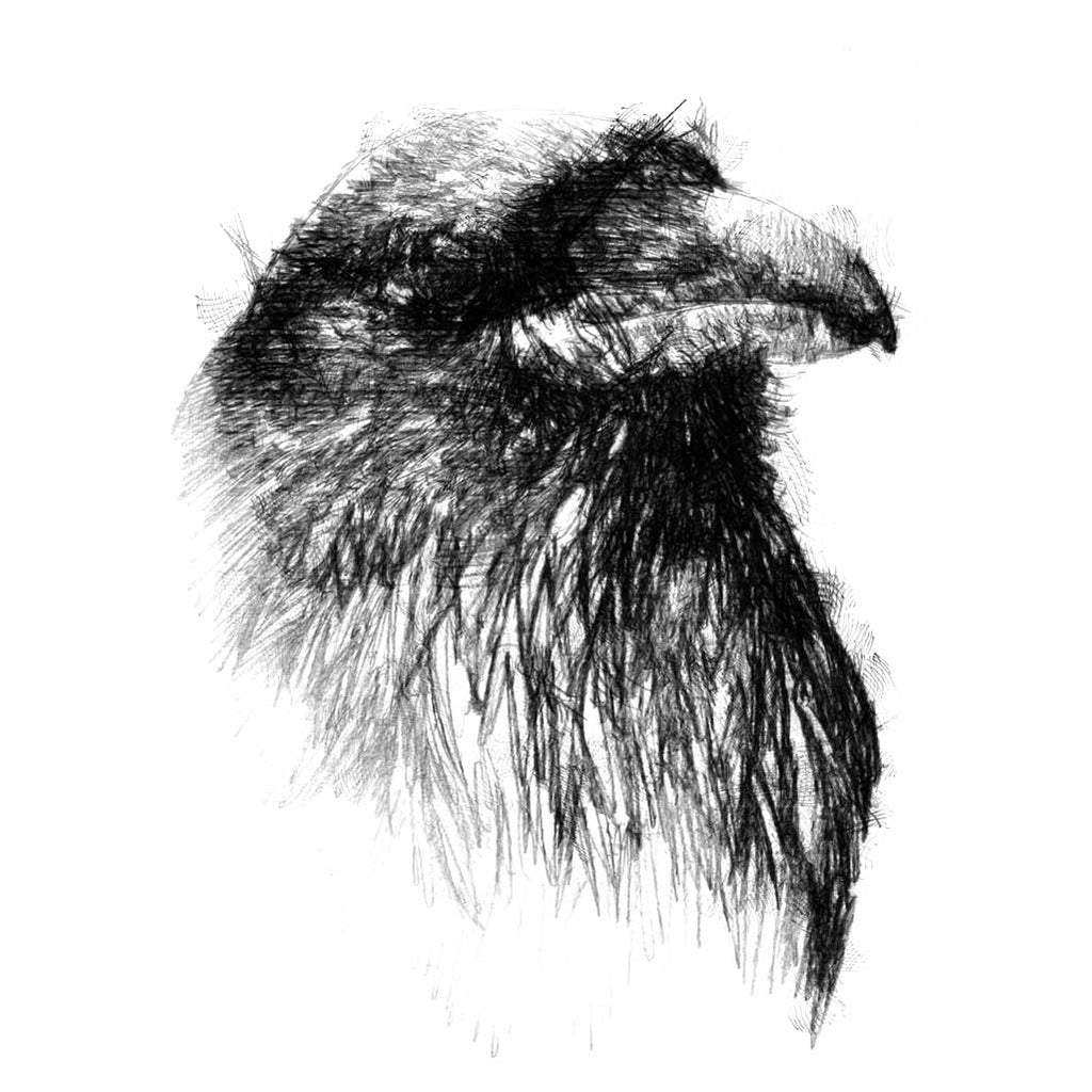 Raven