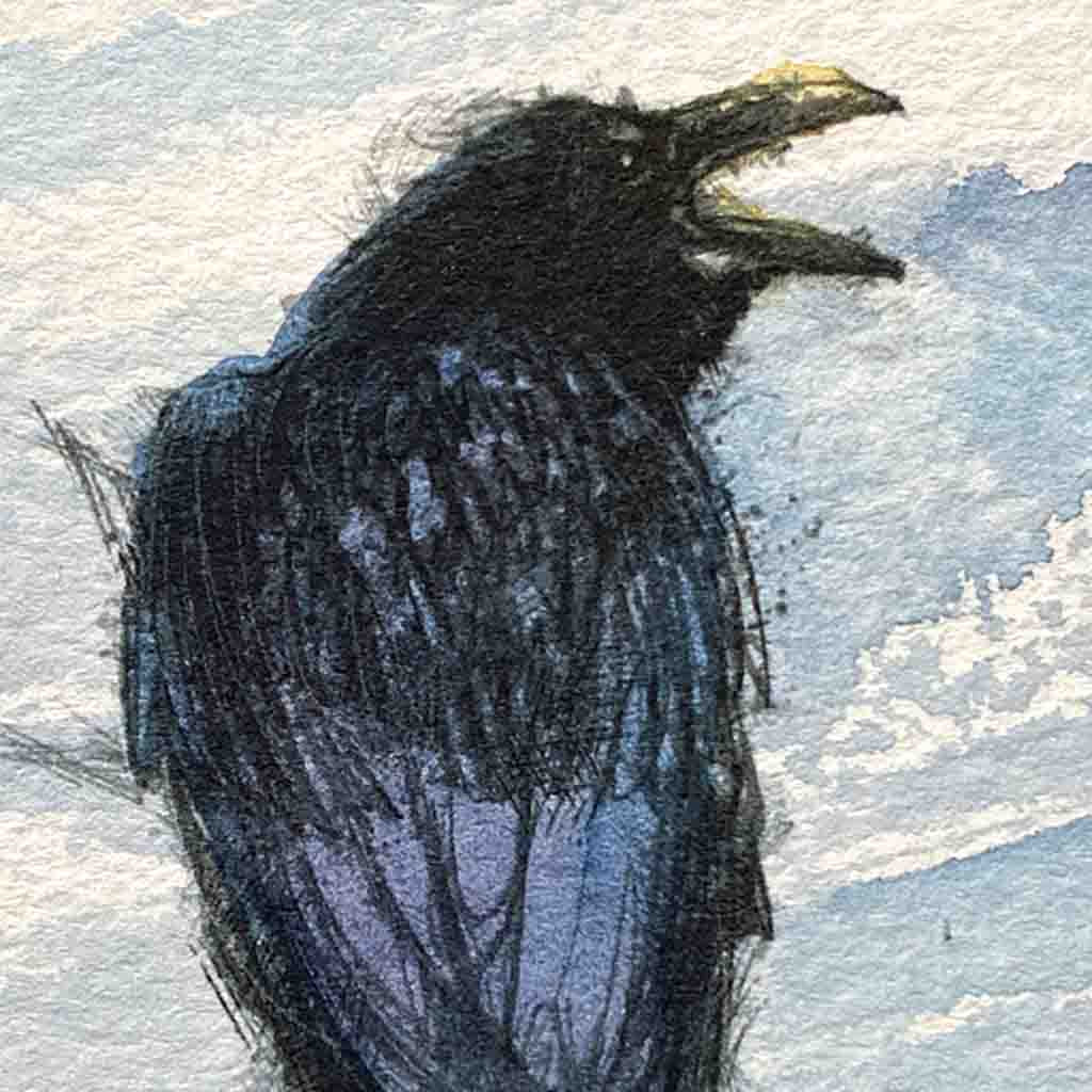 Raven original mini sketch