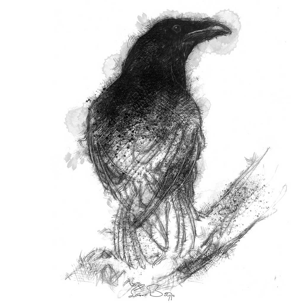 Raven