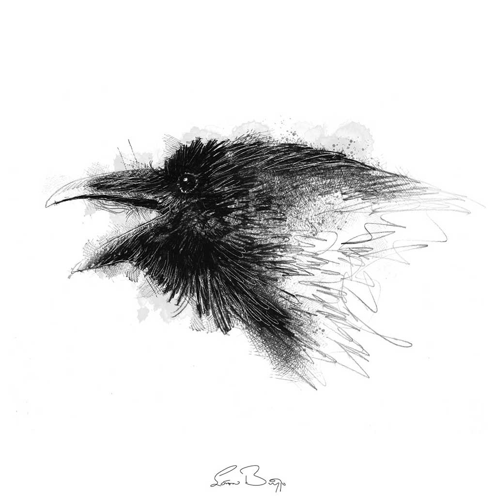 Raven call