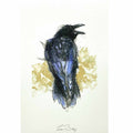 Raven crow sketch