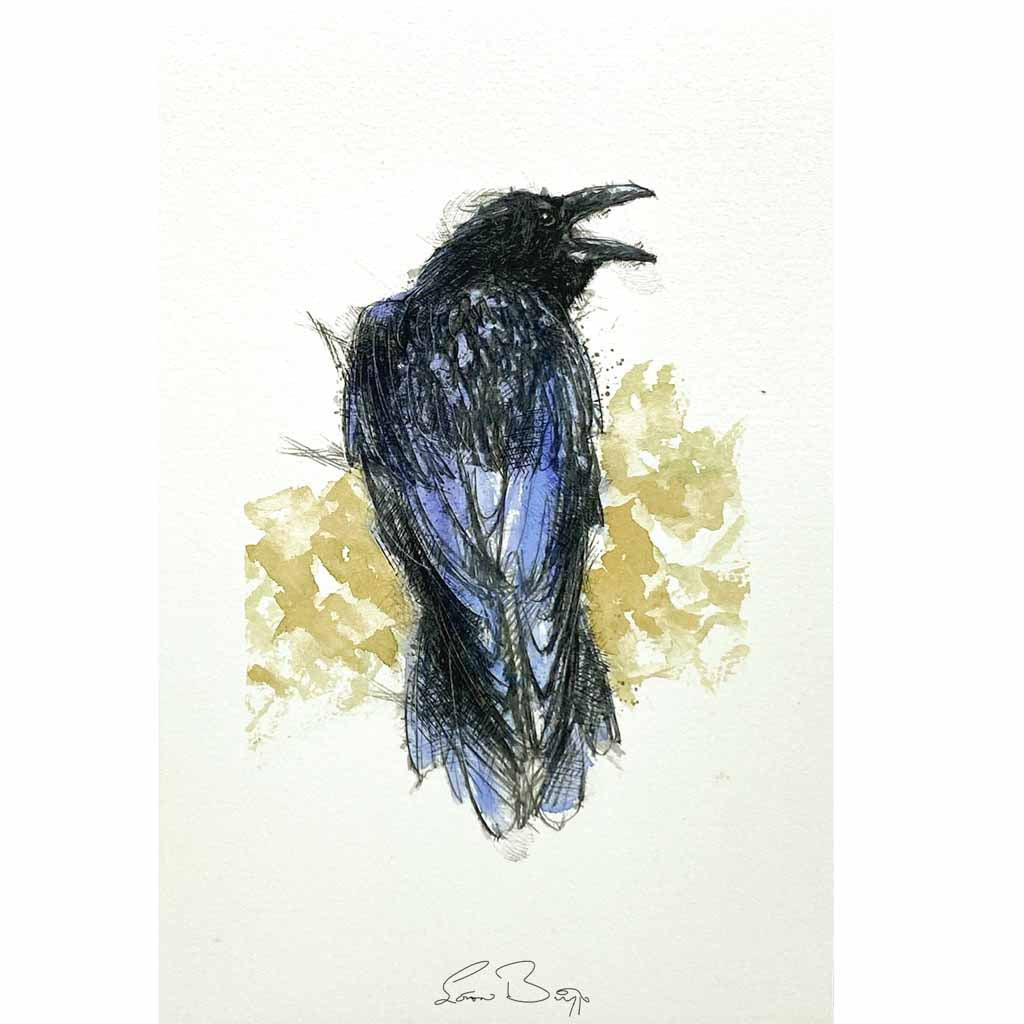 Raven crow sketch