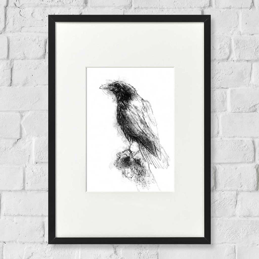 Raven perched