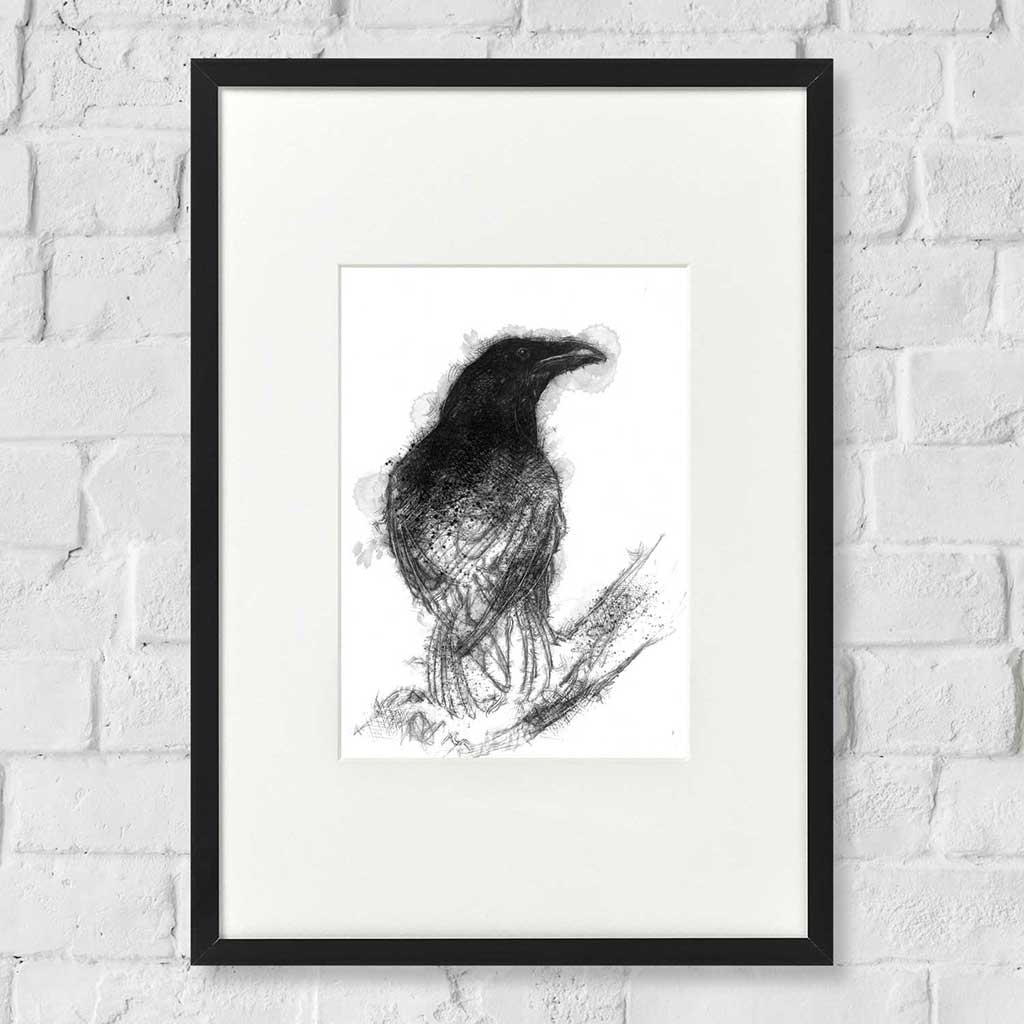 Raven