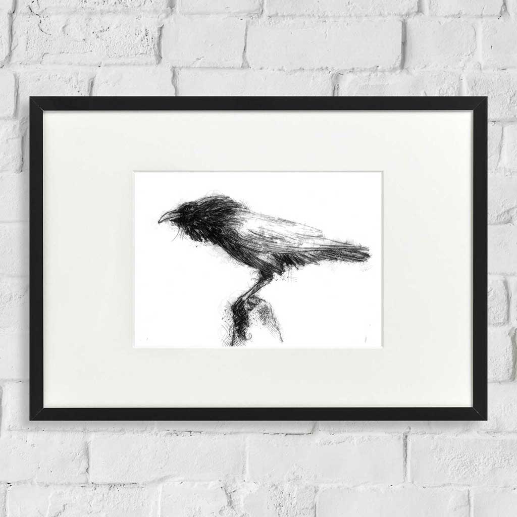 Raven