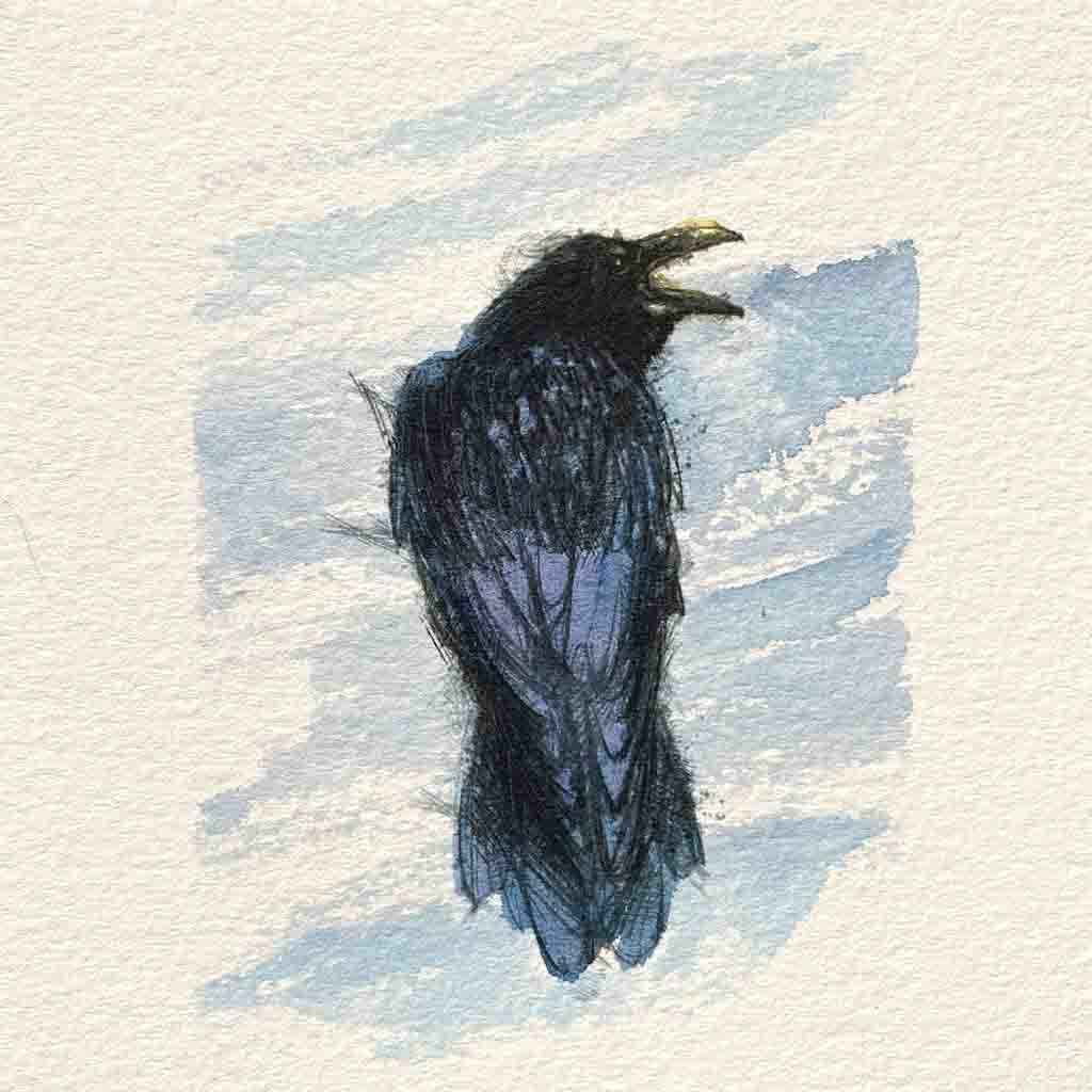 Raven original mini sketch