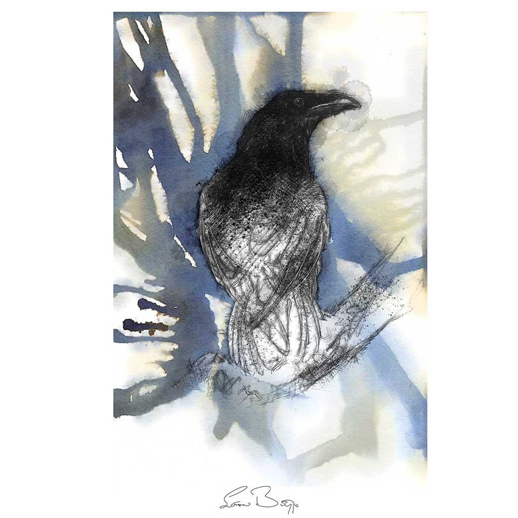 Ghost crow