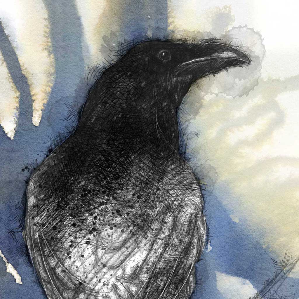 Ghost crow