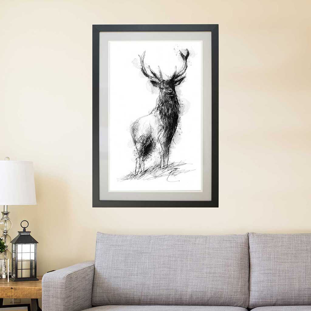 Red deer stag