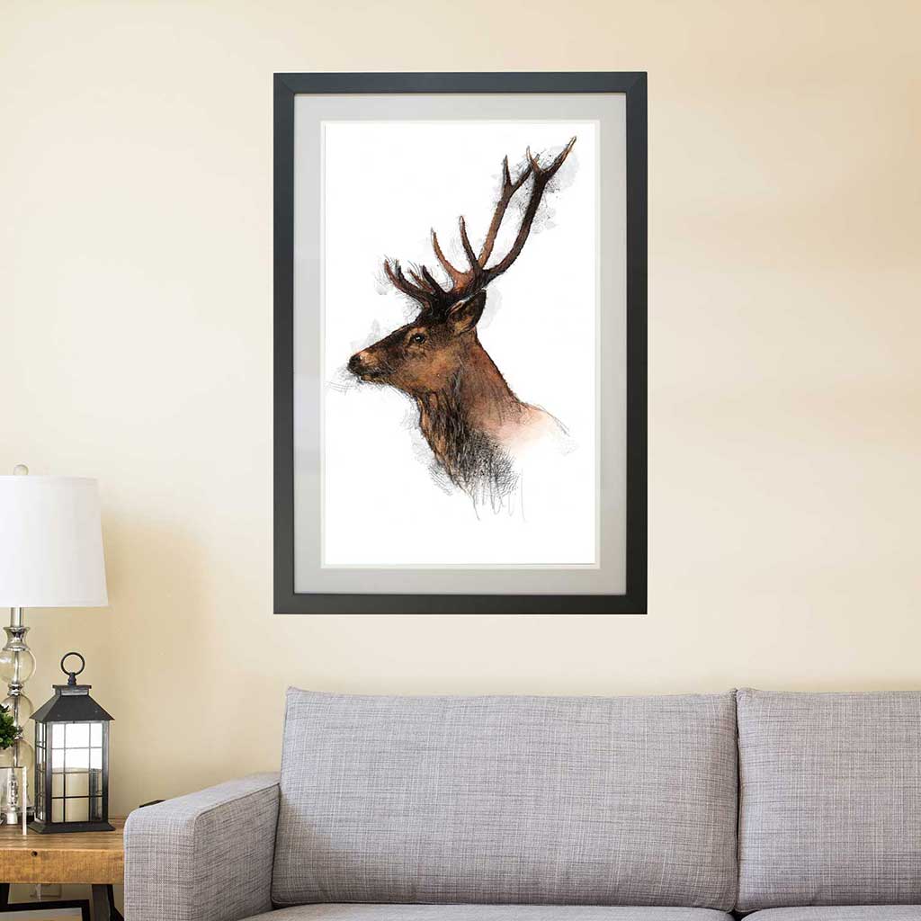 Red deer colour