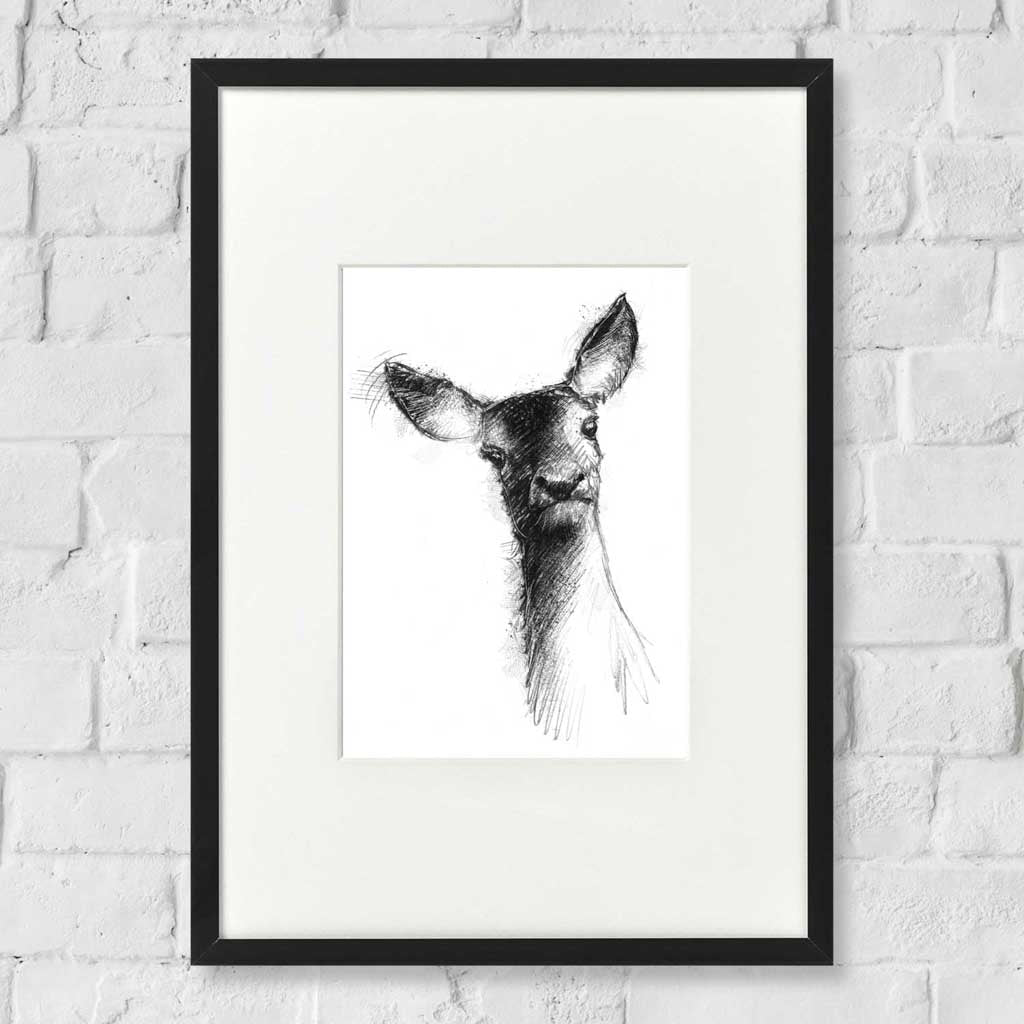 Red deer doe