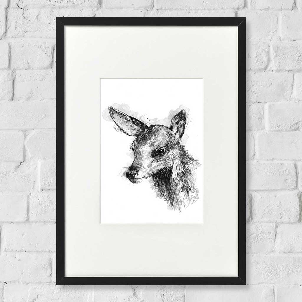 Red deer fawn