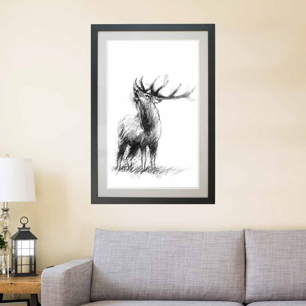 Red deer stag