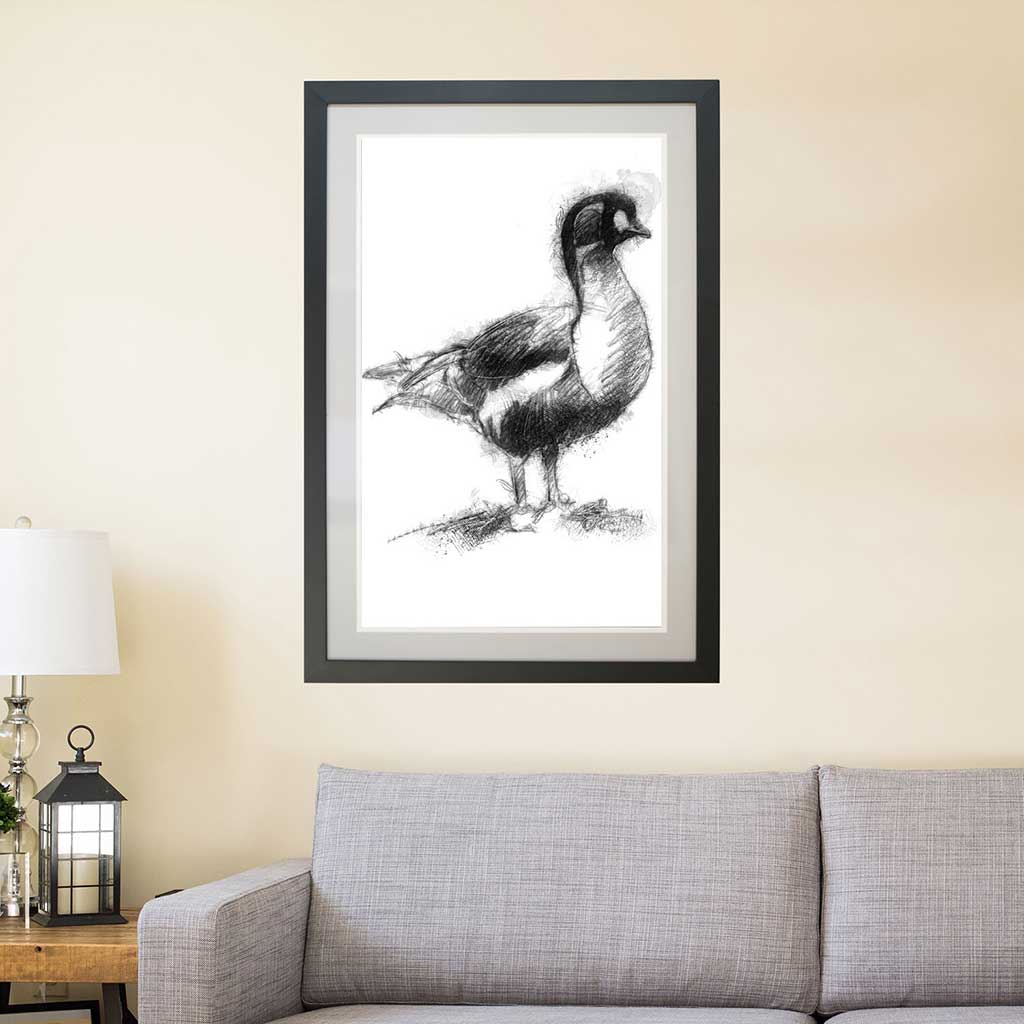 Red breasted goose