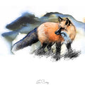 Red fox