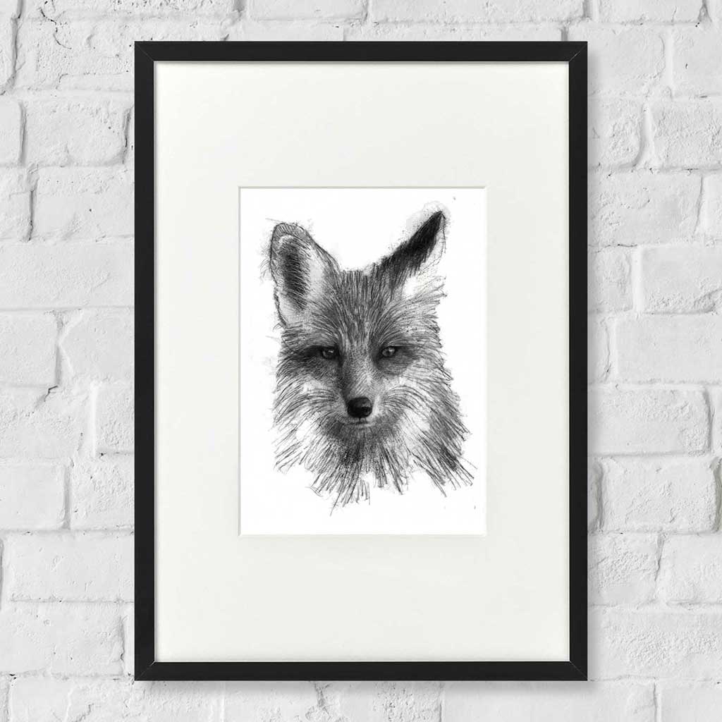 Red fox
