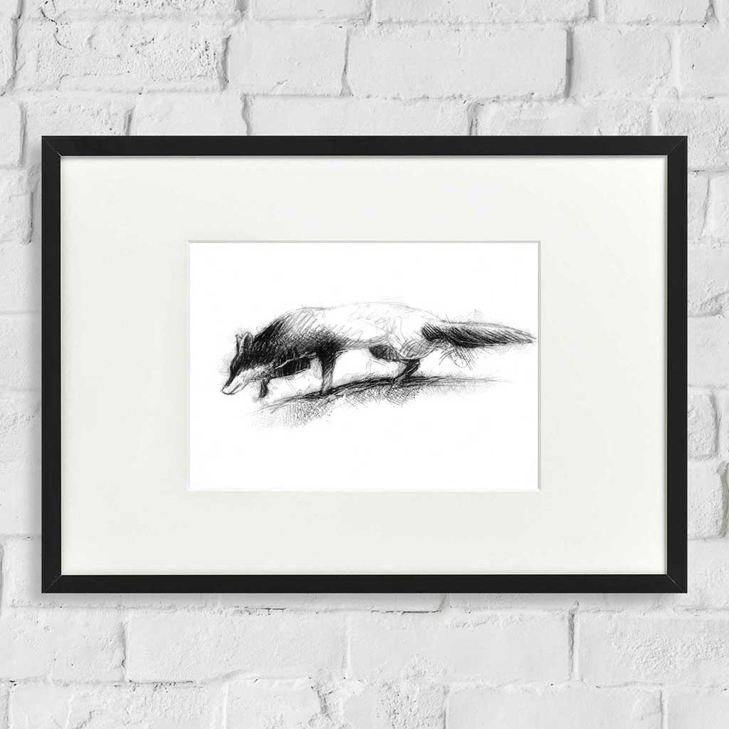 Red fox