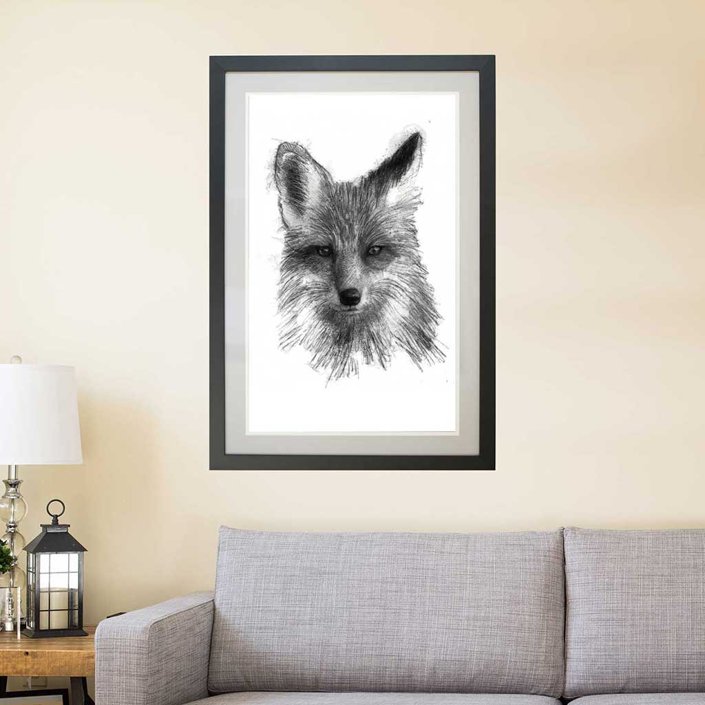 Red fox