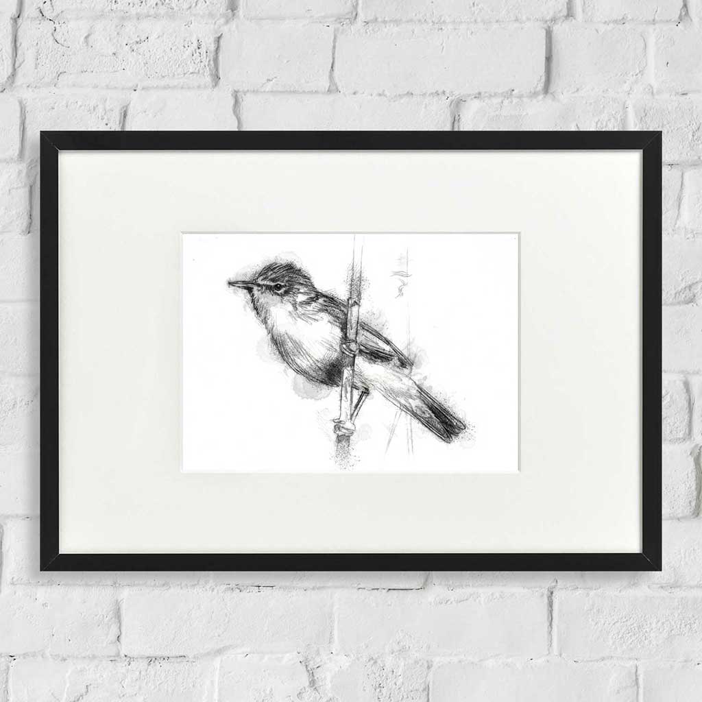 Reed warbler