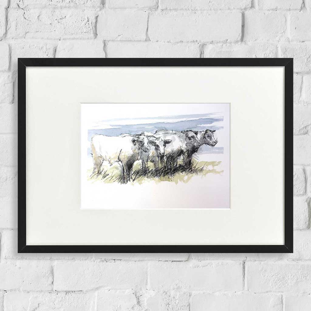 Cows resting