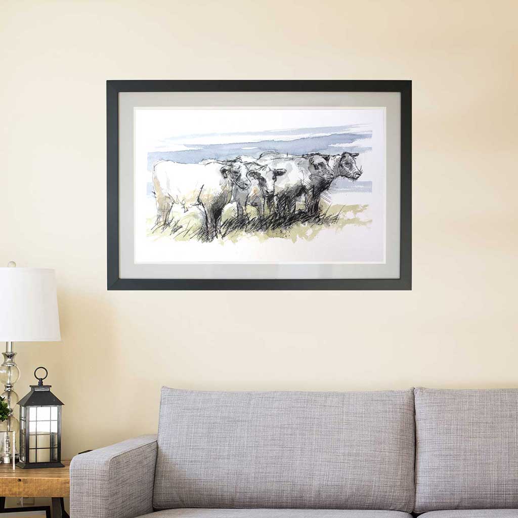 Cows resting
