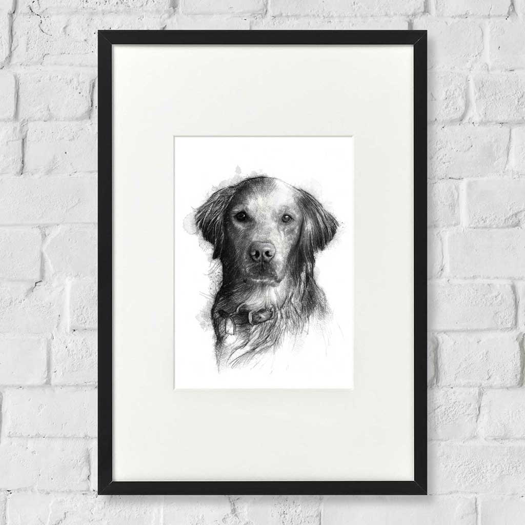 Retriever dog