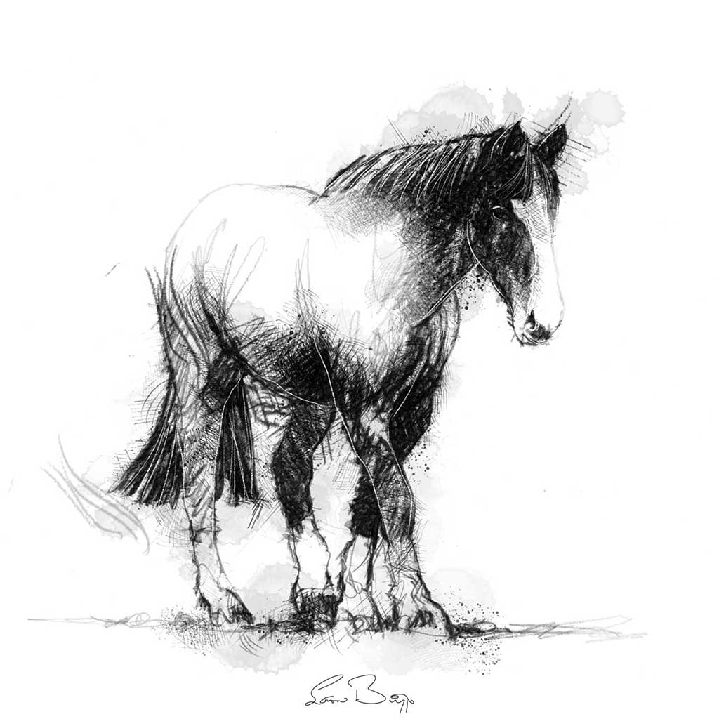 Horses trust Rivington