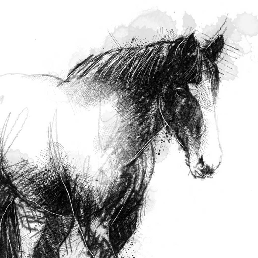 Horses trust Rivington