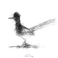Roadrunner