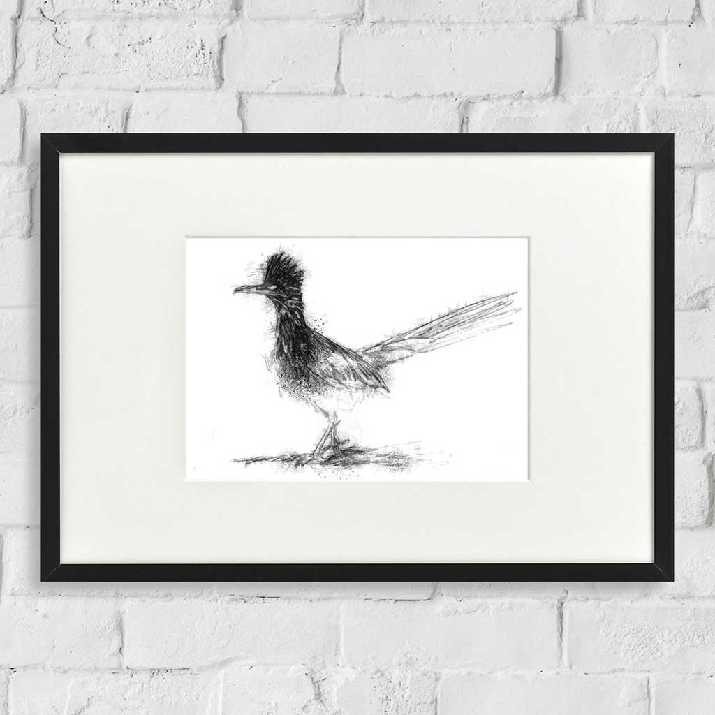 Roadrunner