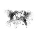 Black and white illustration of two robin birds fighting on a white background