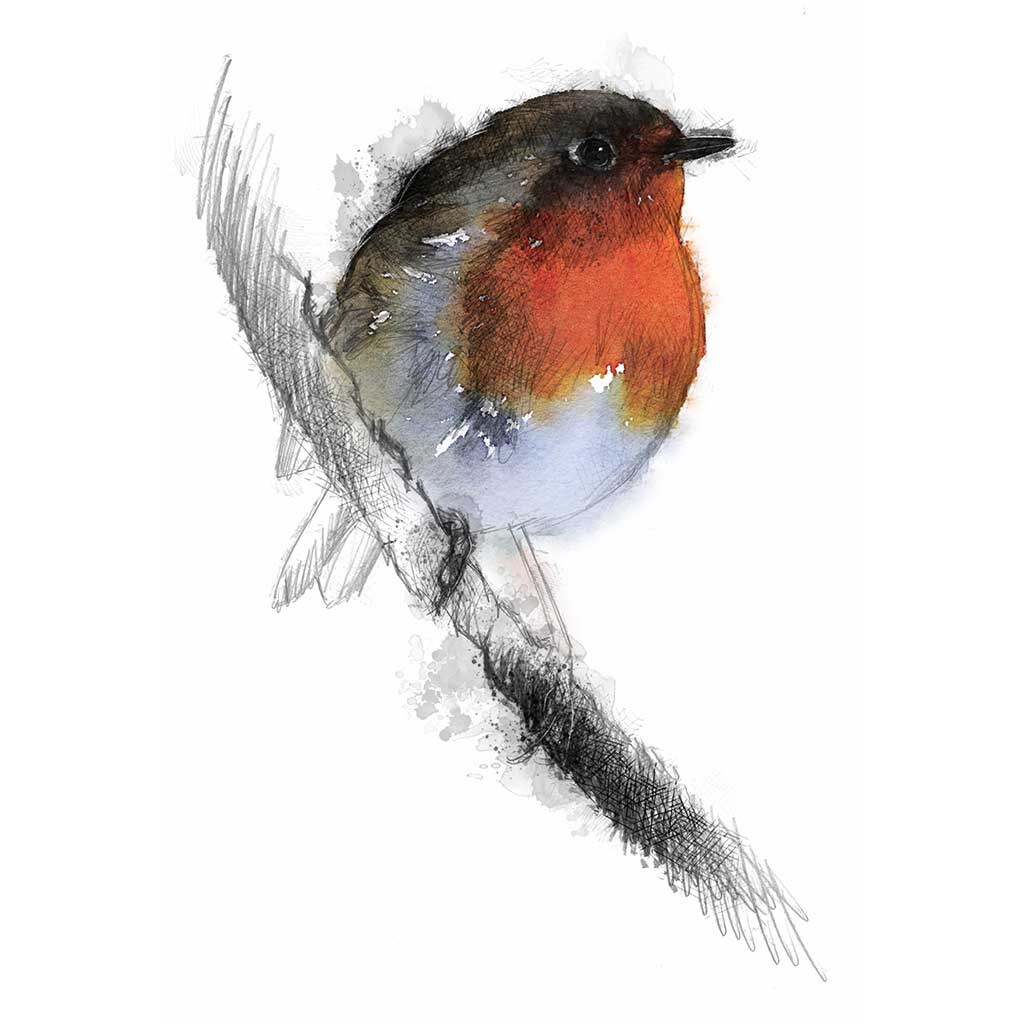 Robin