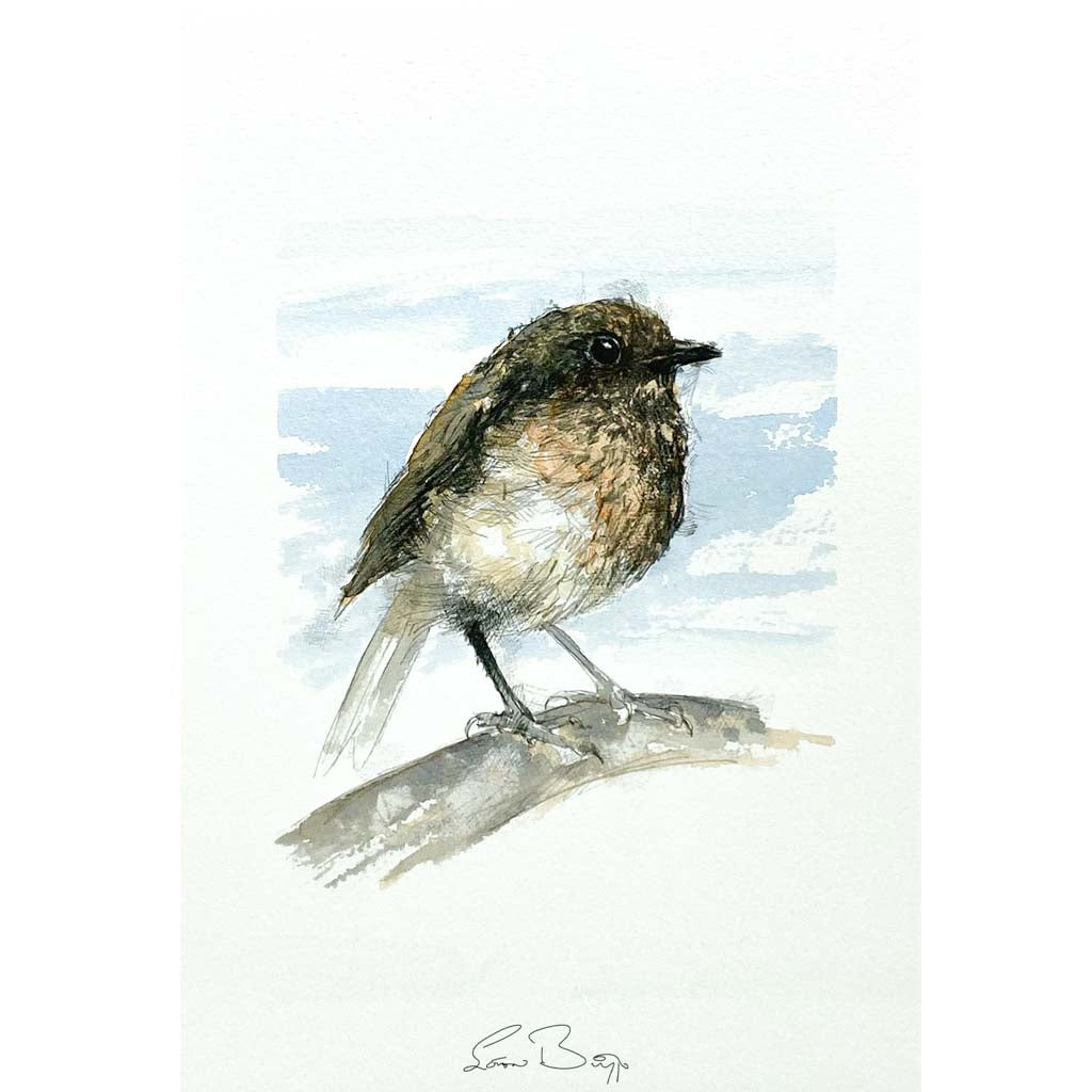 British robin sketch
